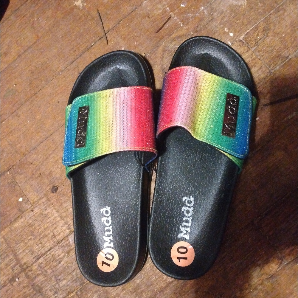 Mudd slides